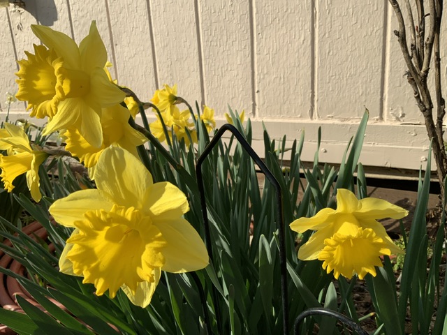 IMG_3635.jpeg
