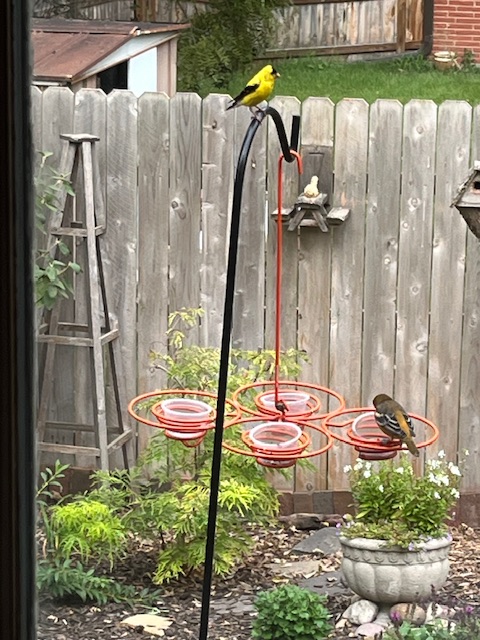 IMG_3702.jpeg