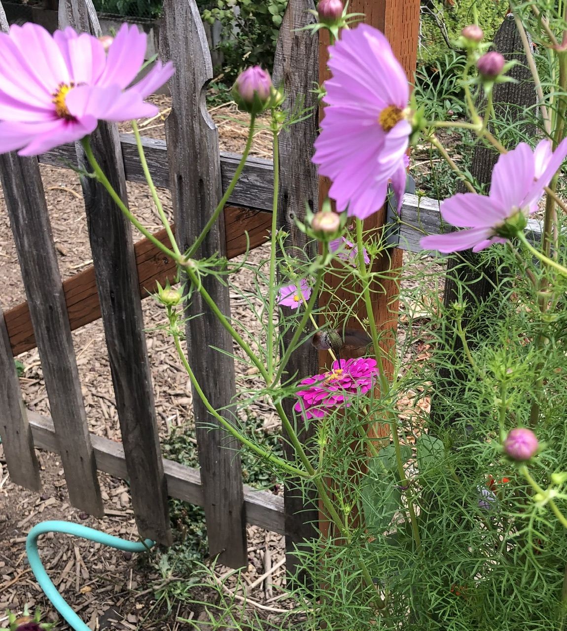 IMG_3711.jpeg