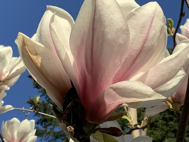 IMG_3912.jpeg
