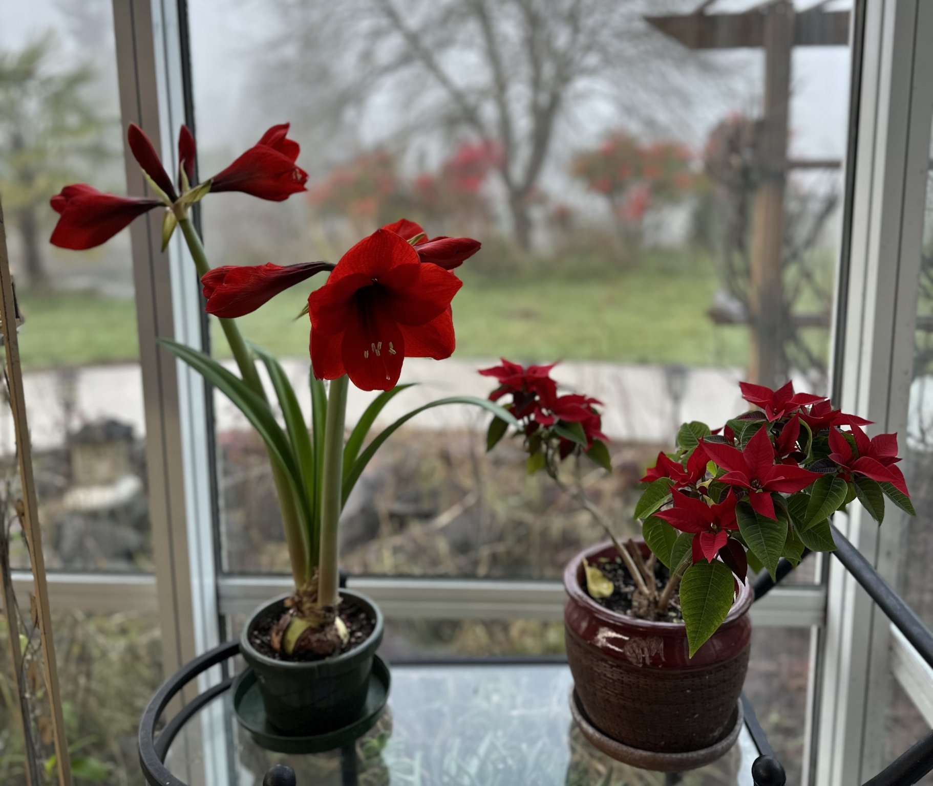 IMG_4085.jpeg