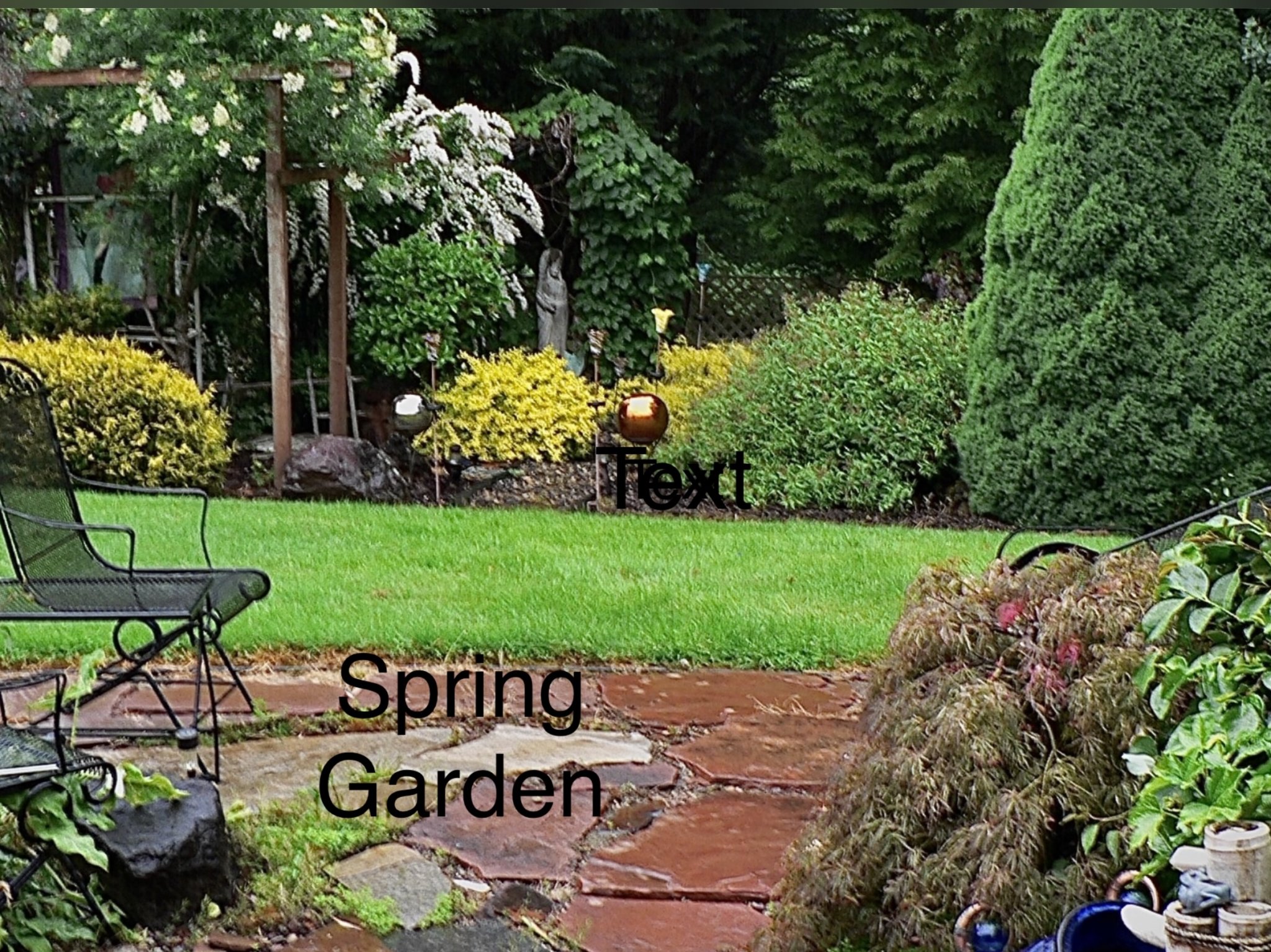 IMG_4661.jpeg