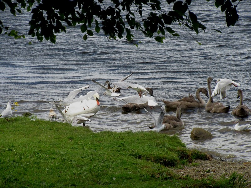 IMG_4758.jpg