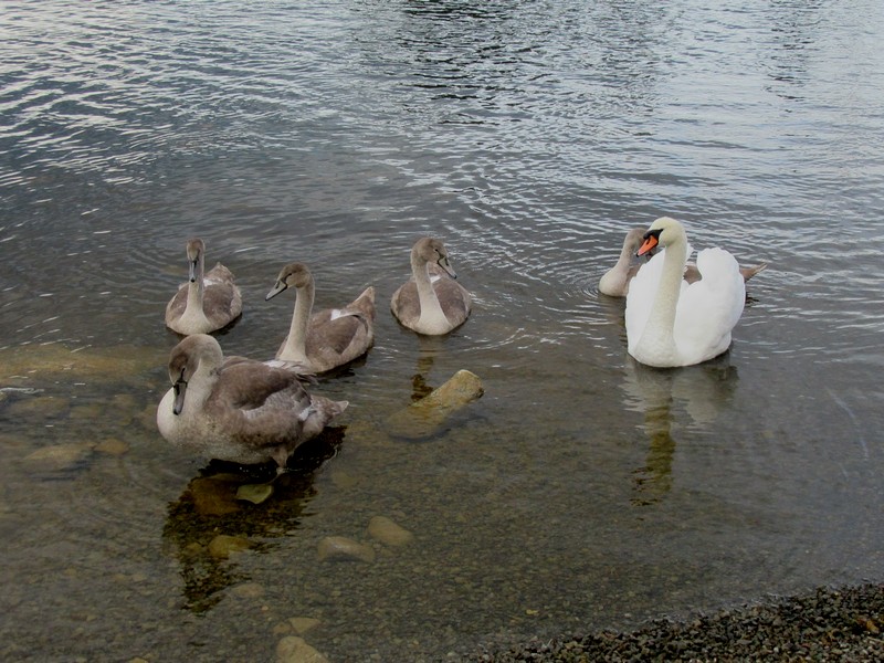IMG_4985.jpg