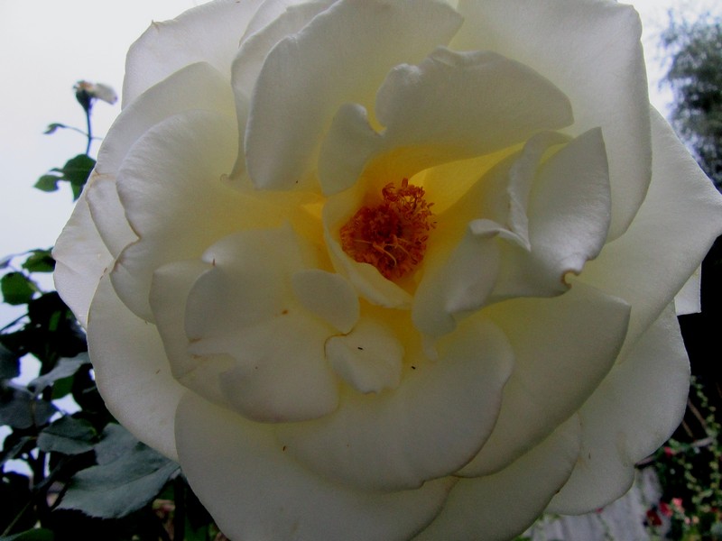 IMG_5214.jpg