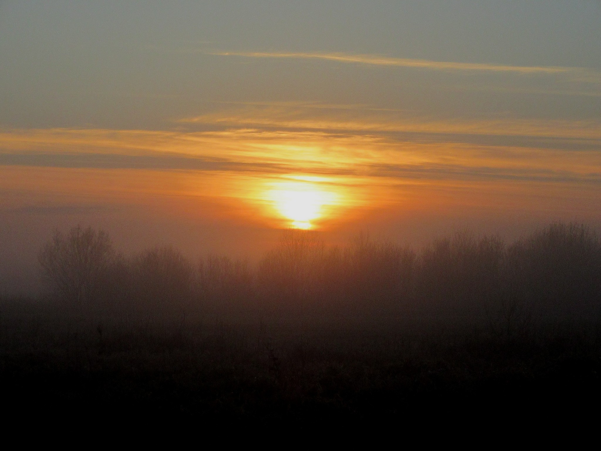IMG_5854.jpg