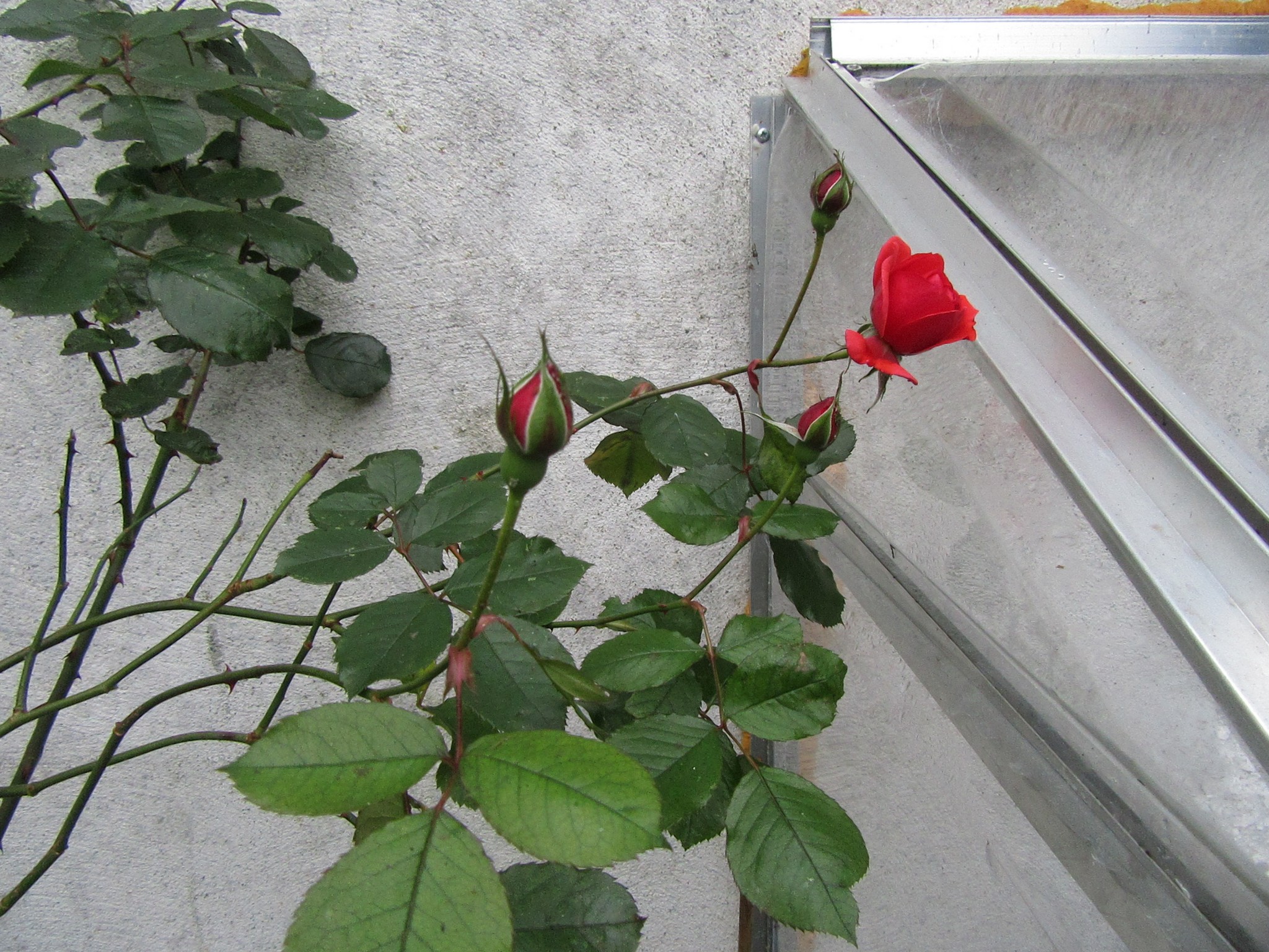 IMG_5882.jpg