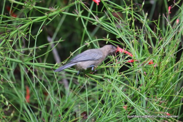 IMG_6755.JPG