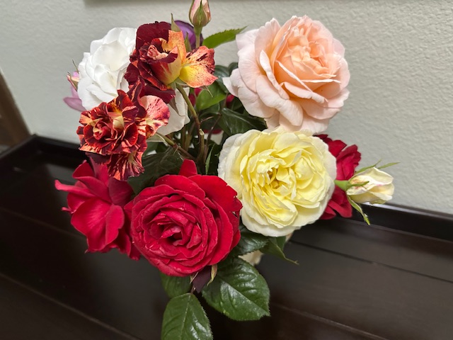 IMG_7732.jpeg