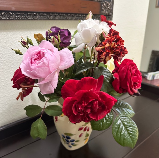 IMG_7734.jpeg