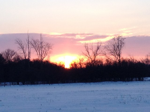 IMG_7895.JPG