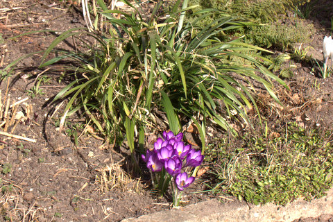 IMG_8446.jpg
