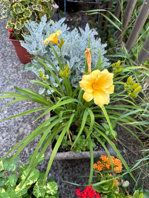 IMG_8470.jpeg