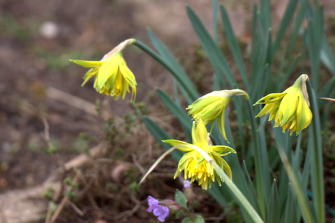 IMG_8474.jpg