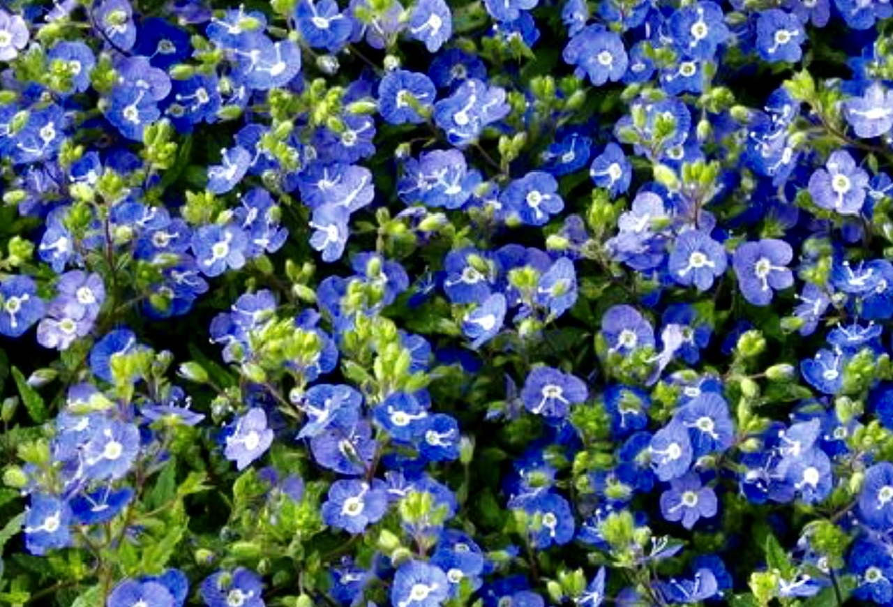 IMG_8489.jpeg