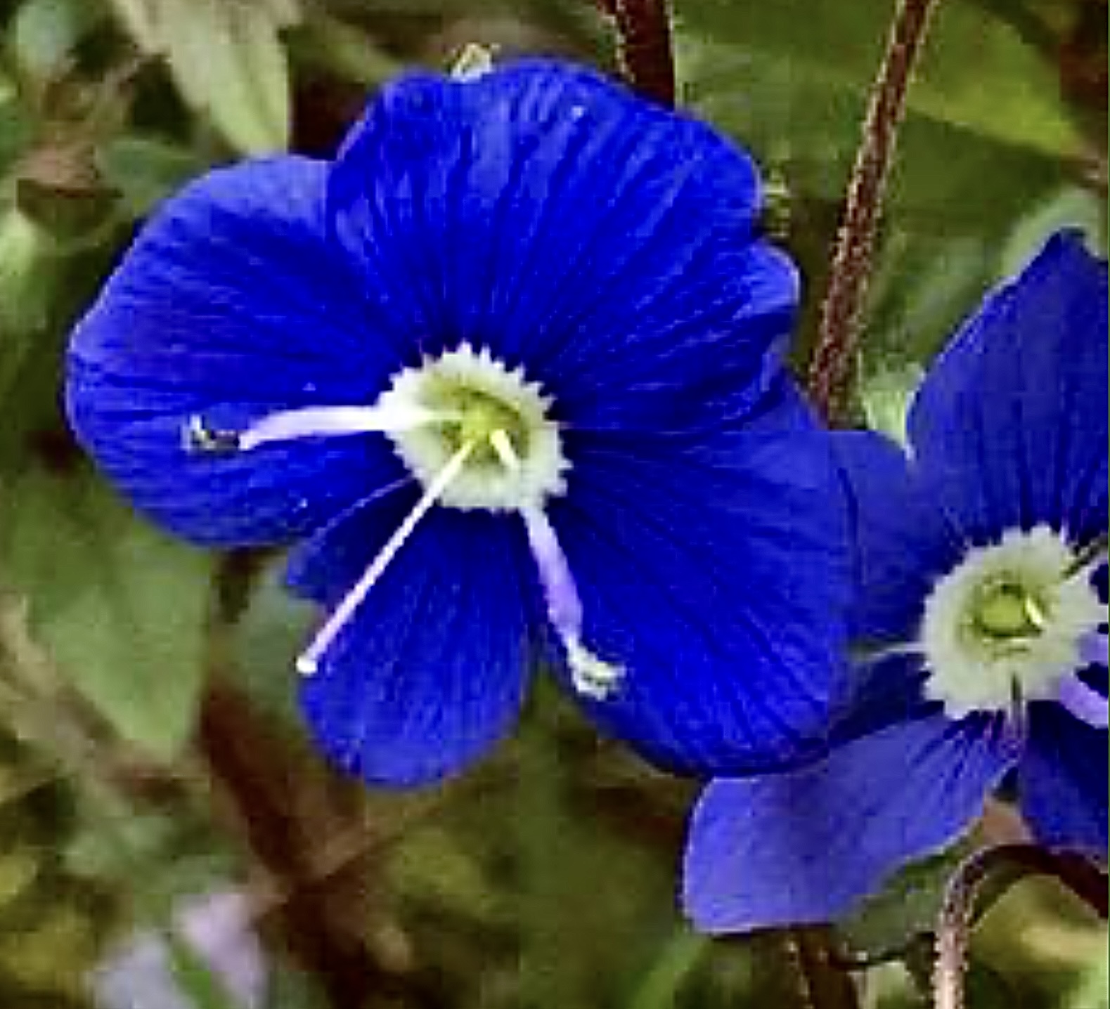 IMG_8491.jpeg