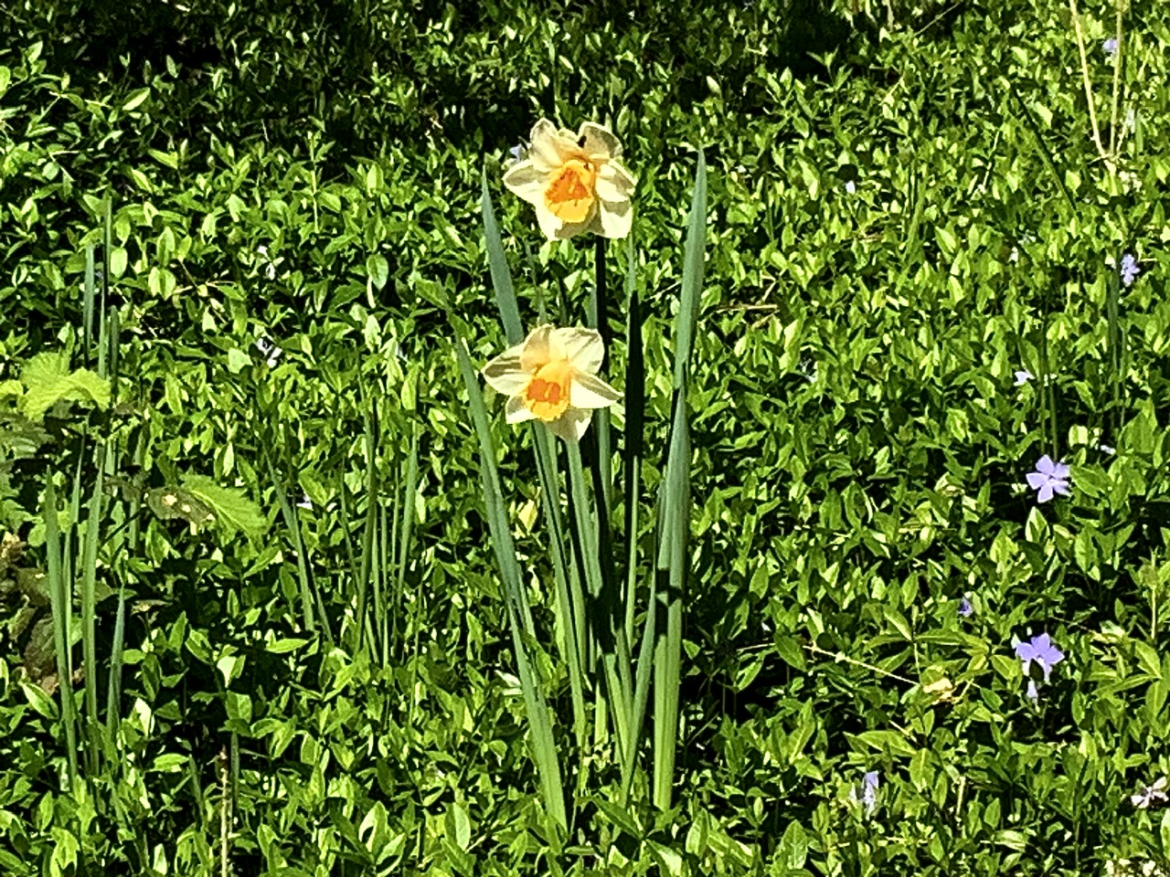 IMG_8836.jpeg