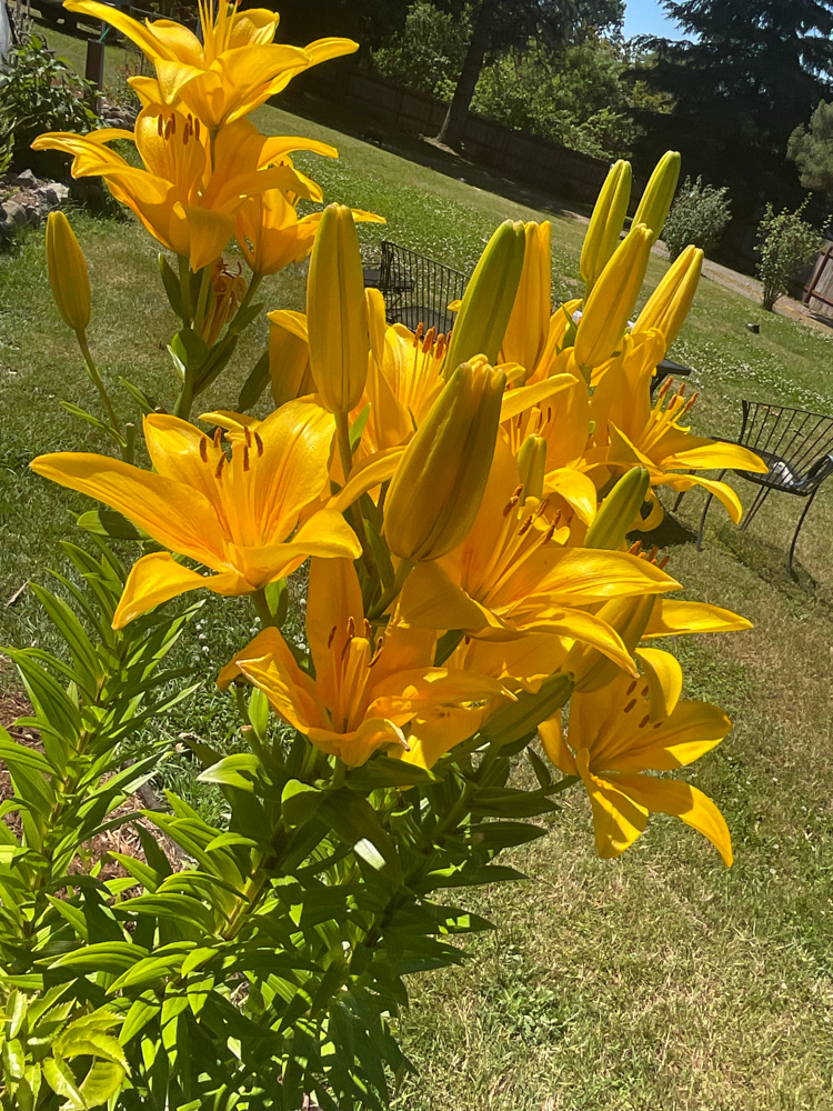 IMG_9264.jpeg