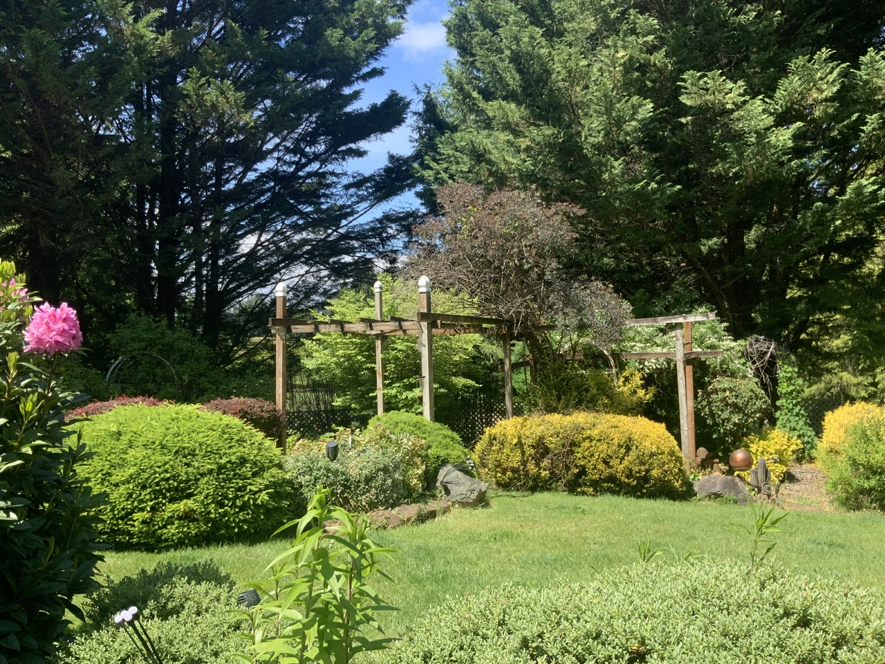 IMG_9512.jpeg