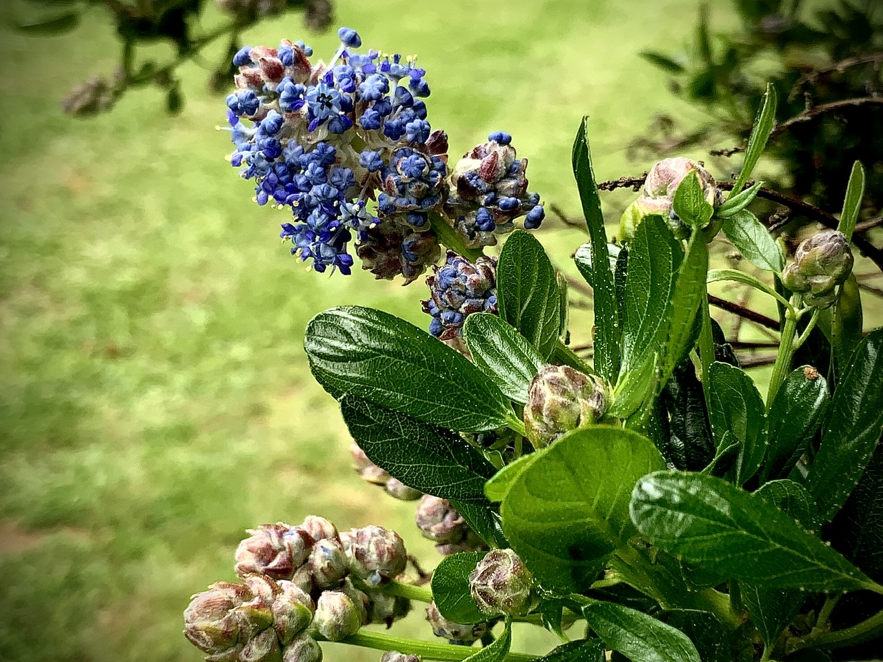 IMG_9663.jpeg