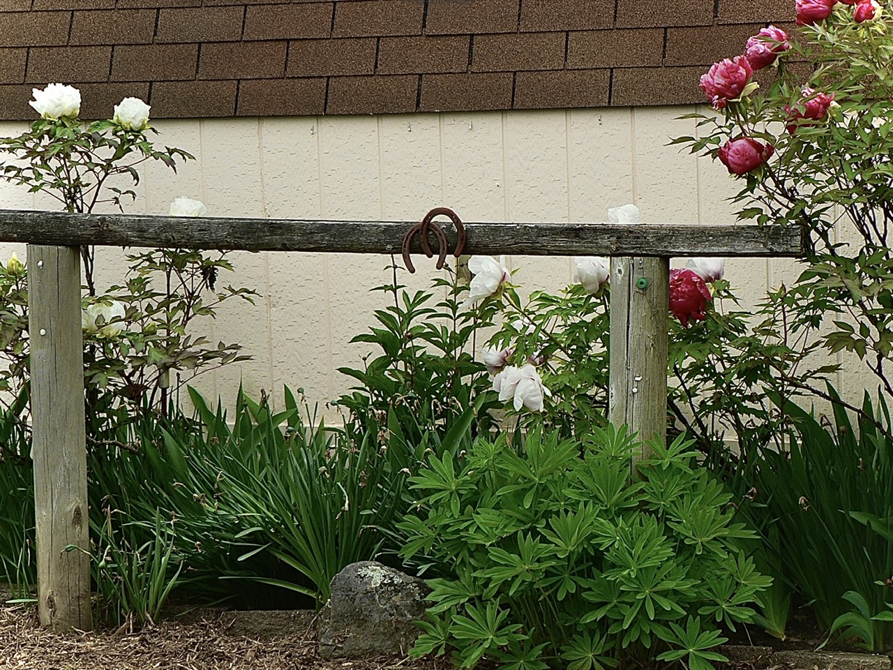 IMG_9760.jpeg