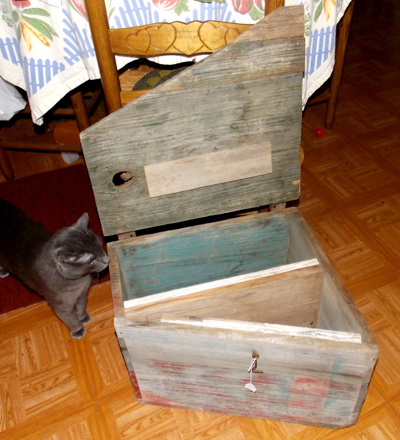 JBoxwcat.JPG