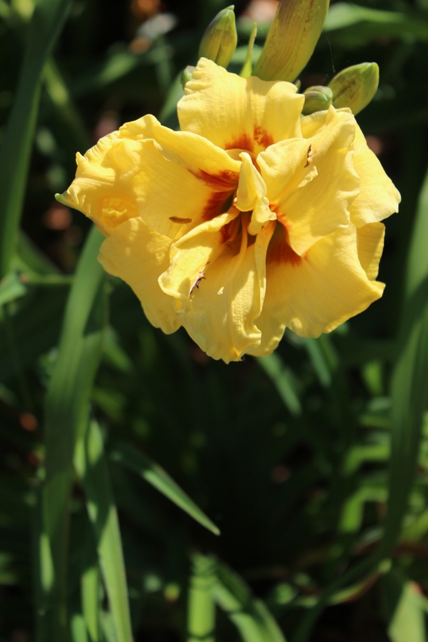 July 22, 2019 056 (2).jpg