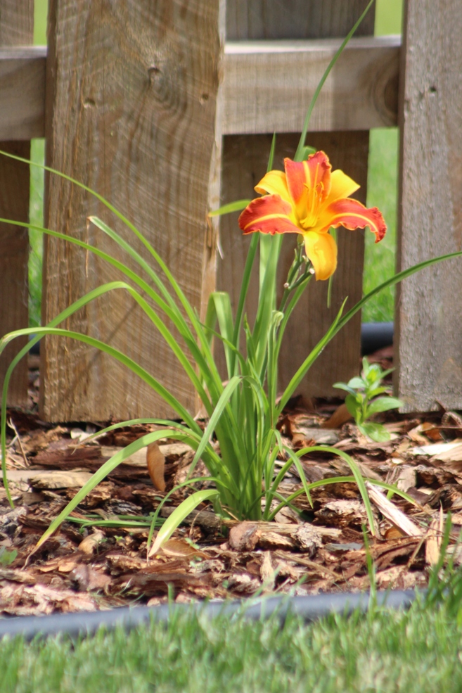 June 21, 2019 023.JPG