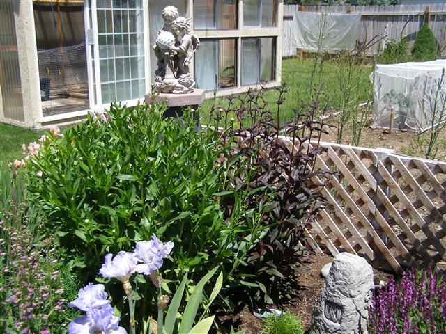 june 24, 201 005 (Small).JPG