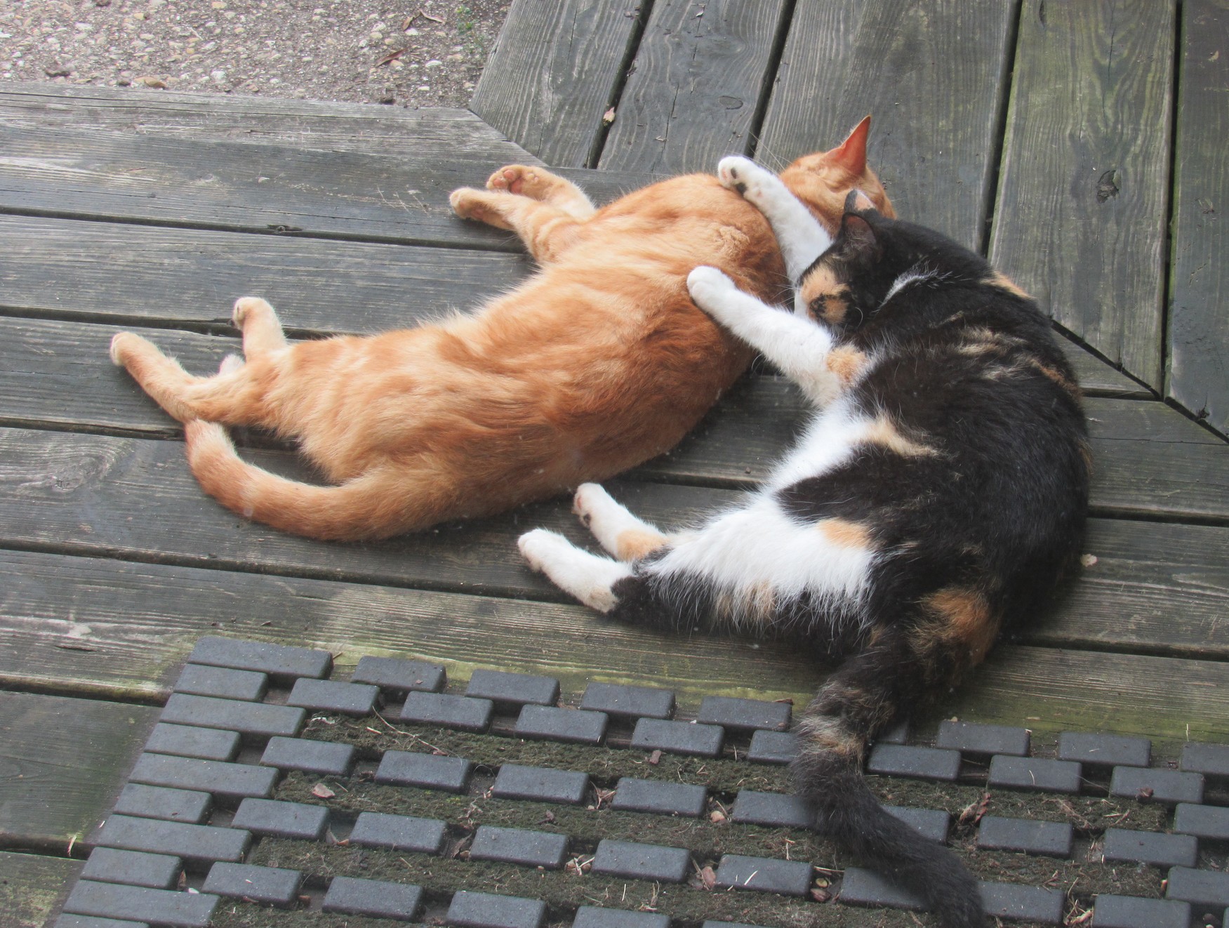 just hangin' on.jpg