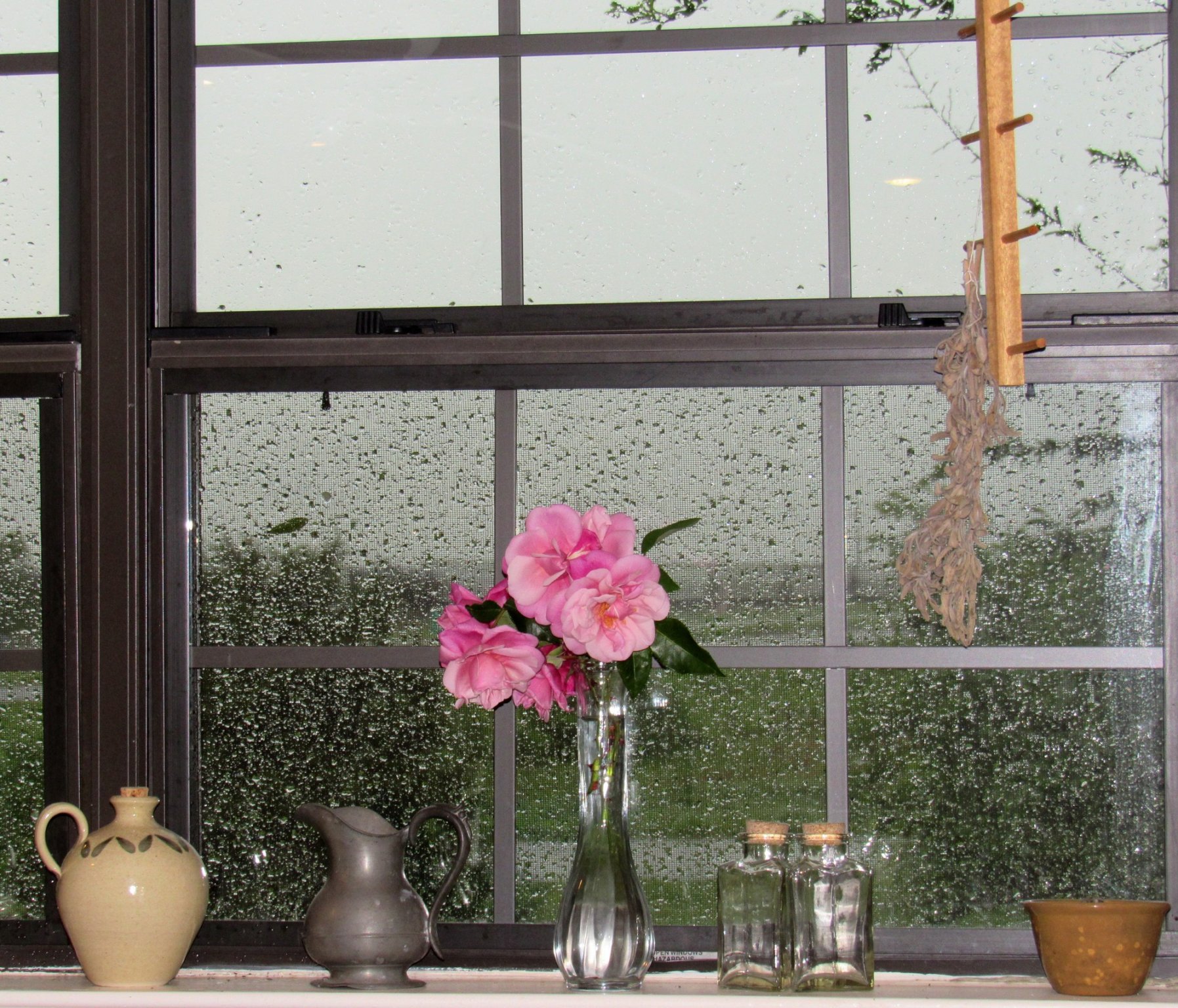 Kitchen Window.jpg