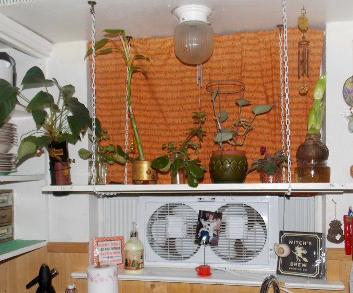 Kitchenwindow.JPG