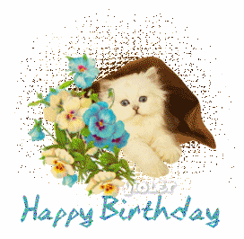 kitty%20in%20bag%20birthday.gif