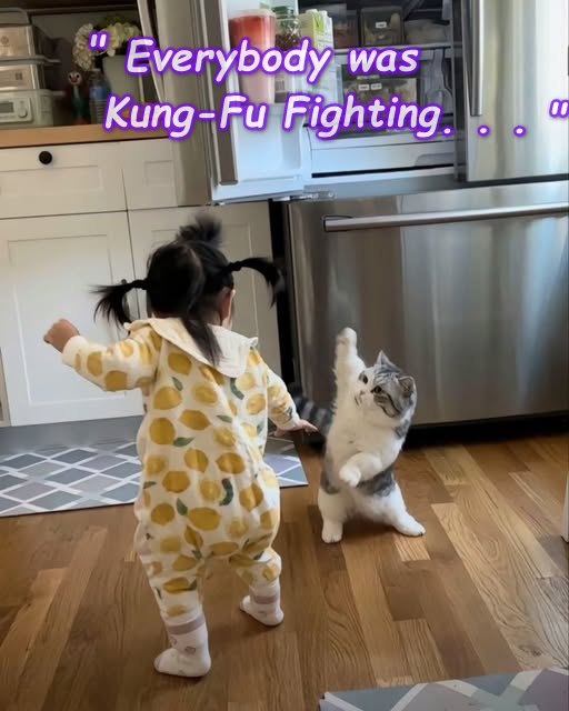 kung fu.jpg