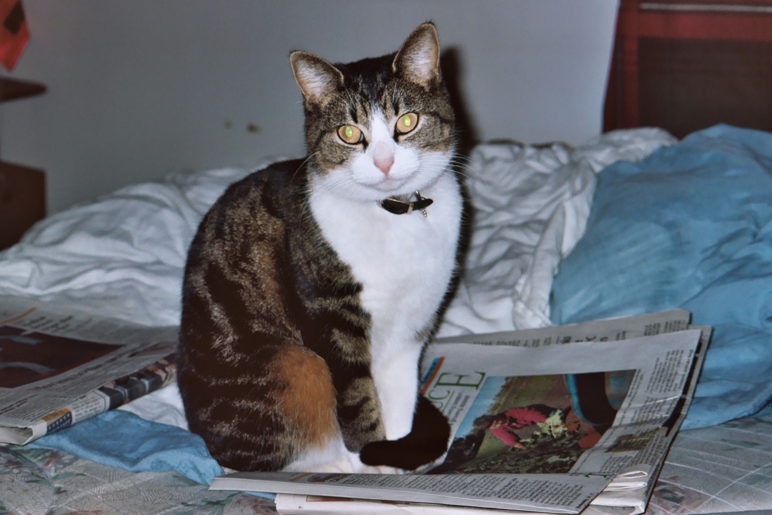 Lady G. (Jan. 20, 2009) (4).JPG