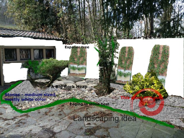 landscaping idea 1.JPG