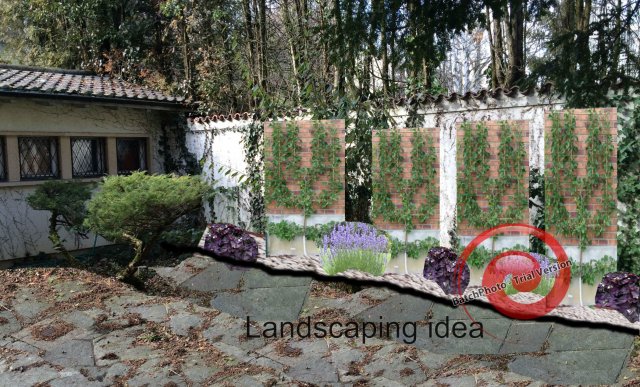 landscaping idea 2.jpg