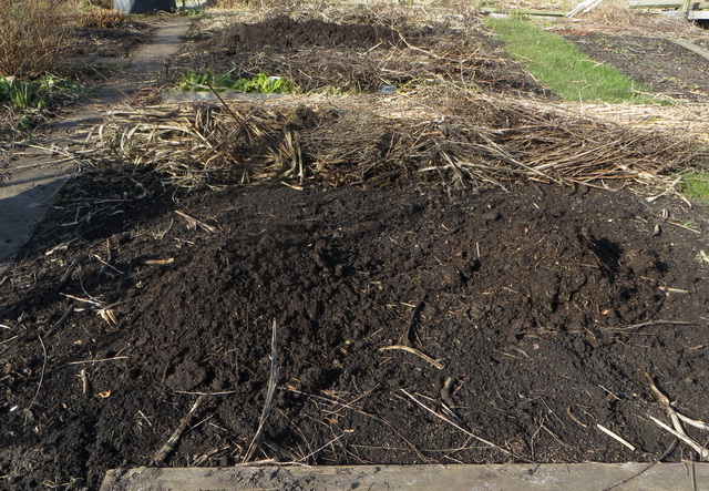 lente5.jpg