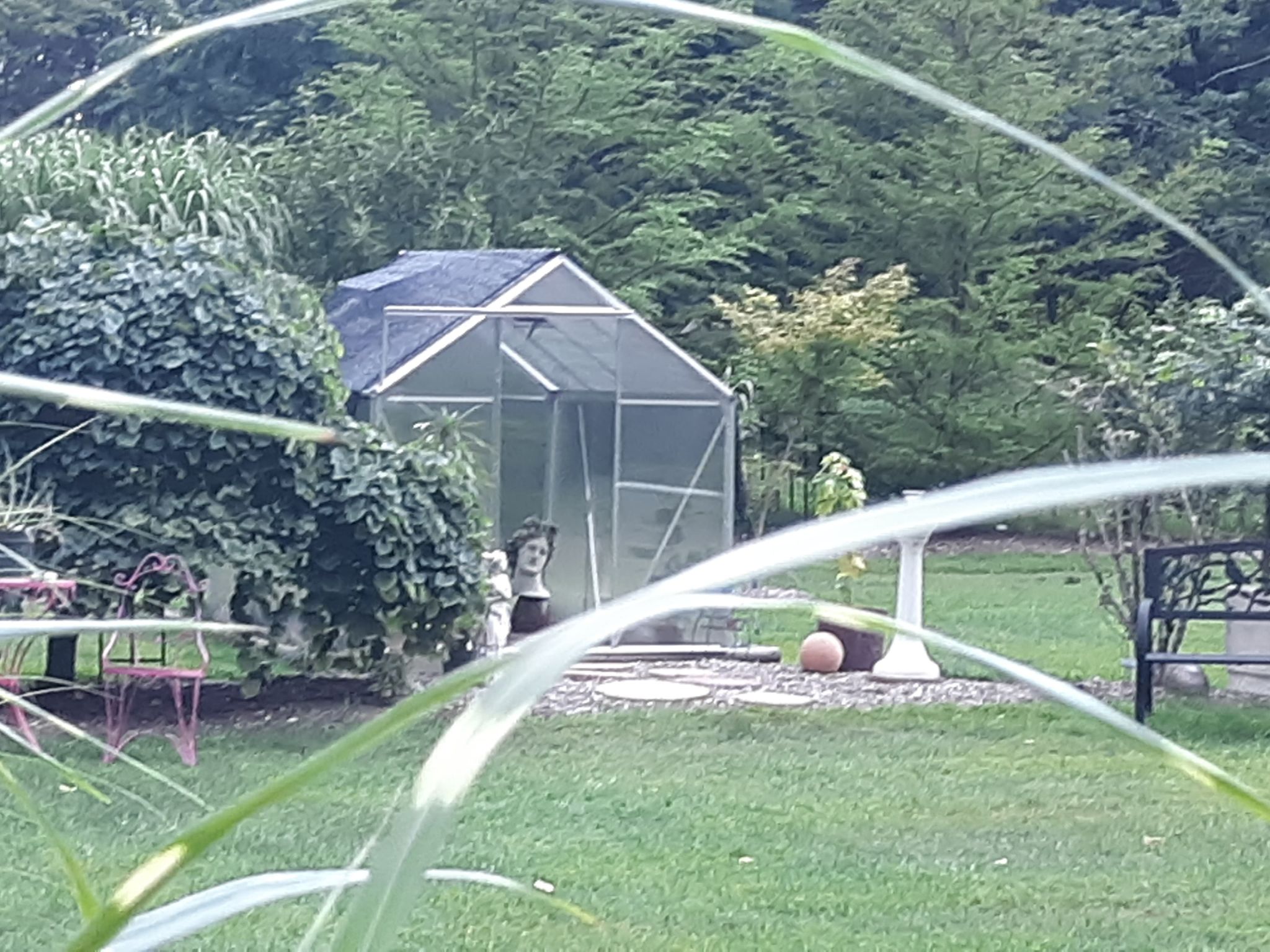 little greenhouse.jpg