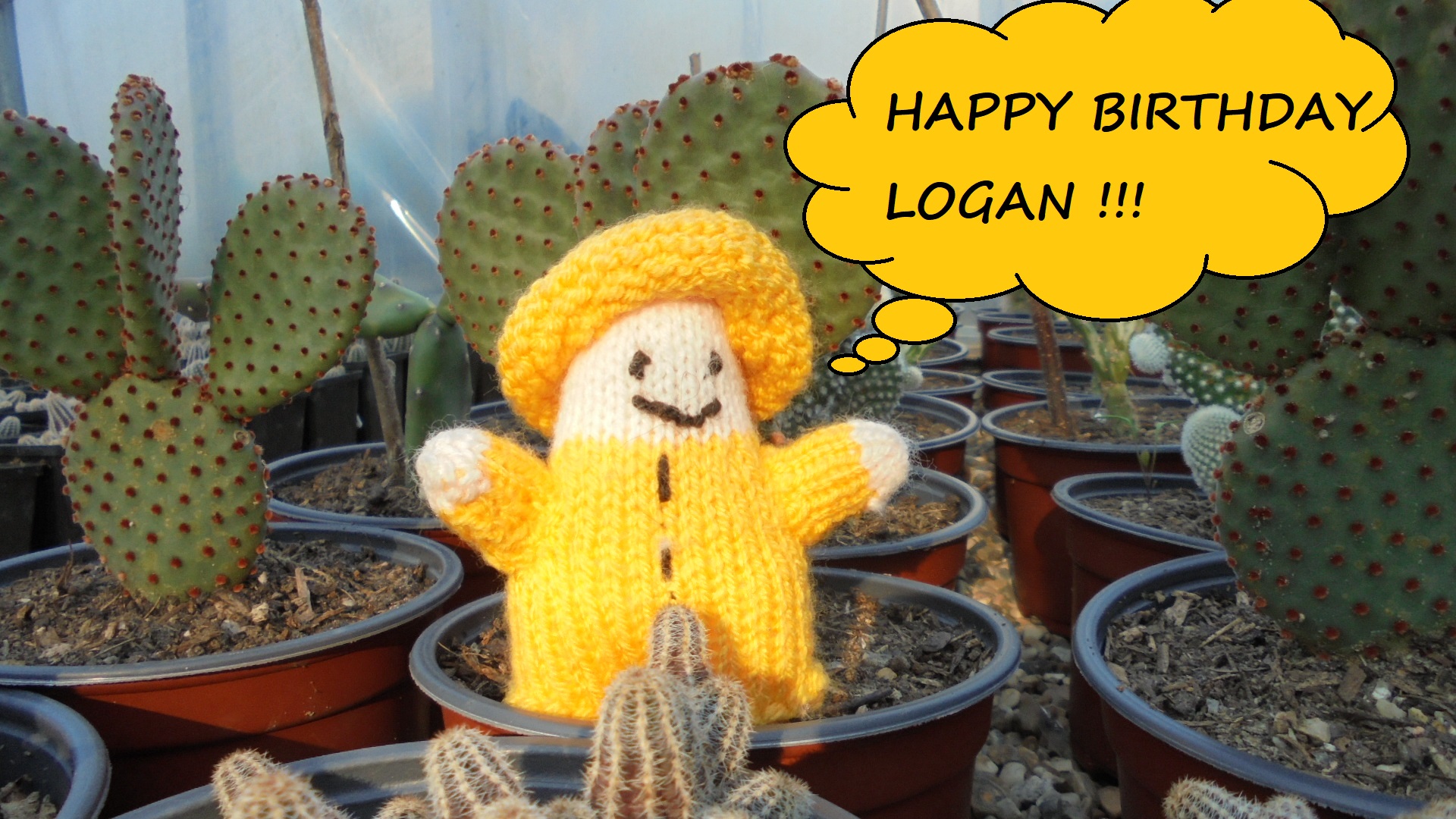 logan bday.jpg