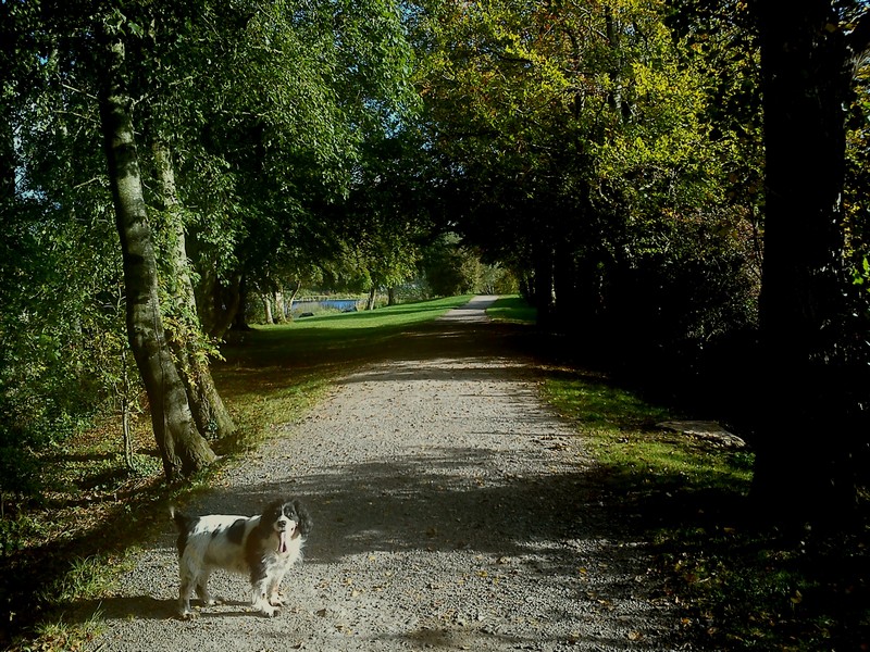 Long walk.jpg