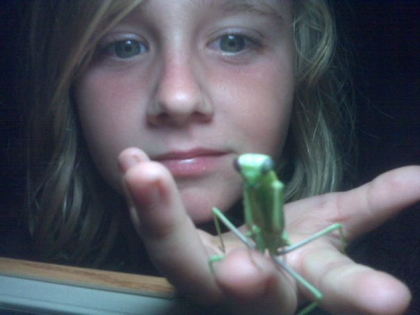 mantis.jpg