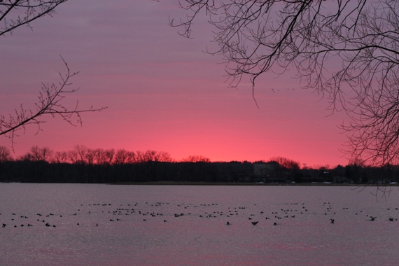 March 27, 2019 238.JPG