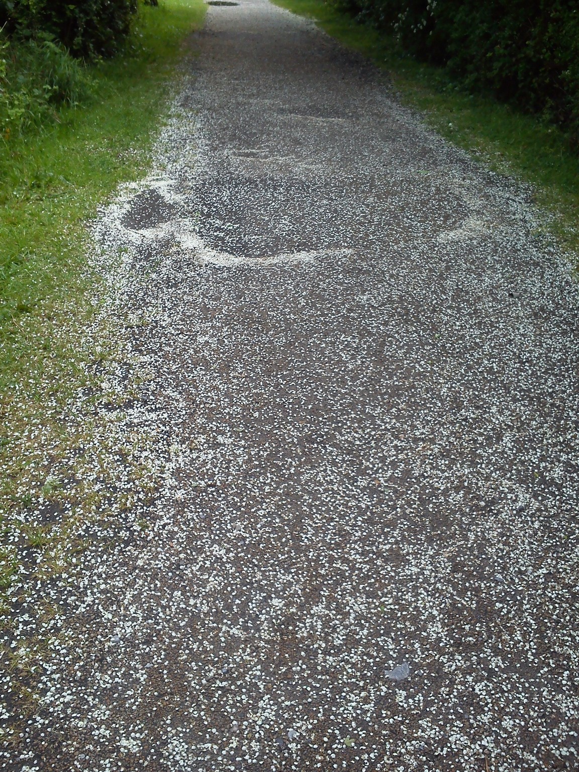 May 17th 2017. 001.jpg