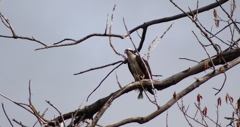 May 2, 2019 112 (2) copy.jpg