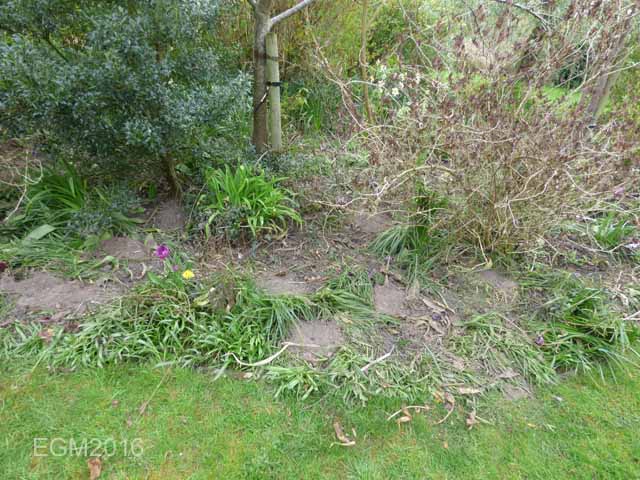 May 2016 Garden 062.jpg