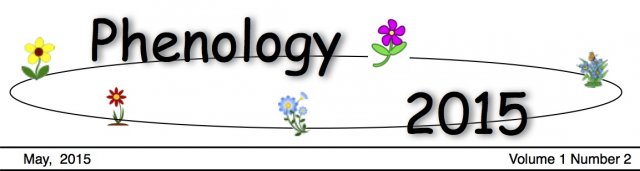 May Phenology News.jpg
