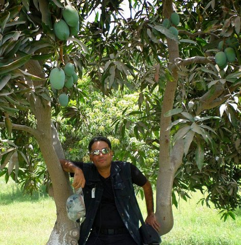 Me at a mango farm.jpg