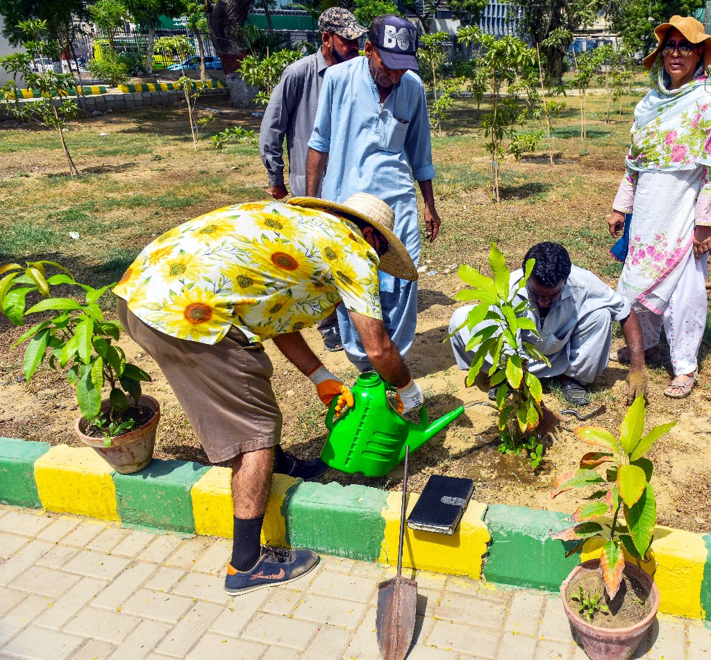 me_planting_my_mango_saplings.jpg