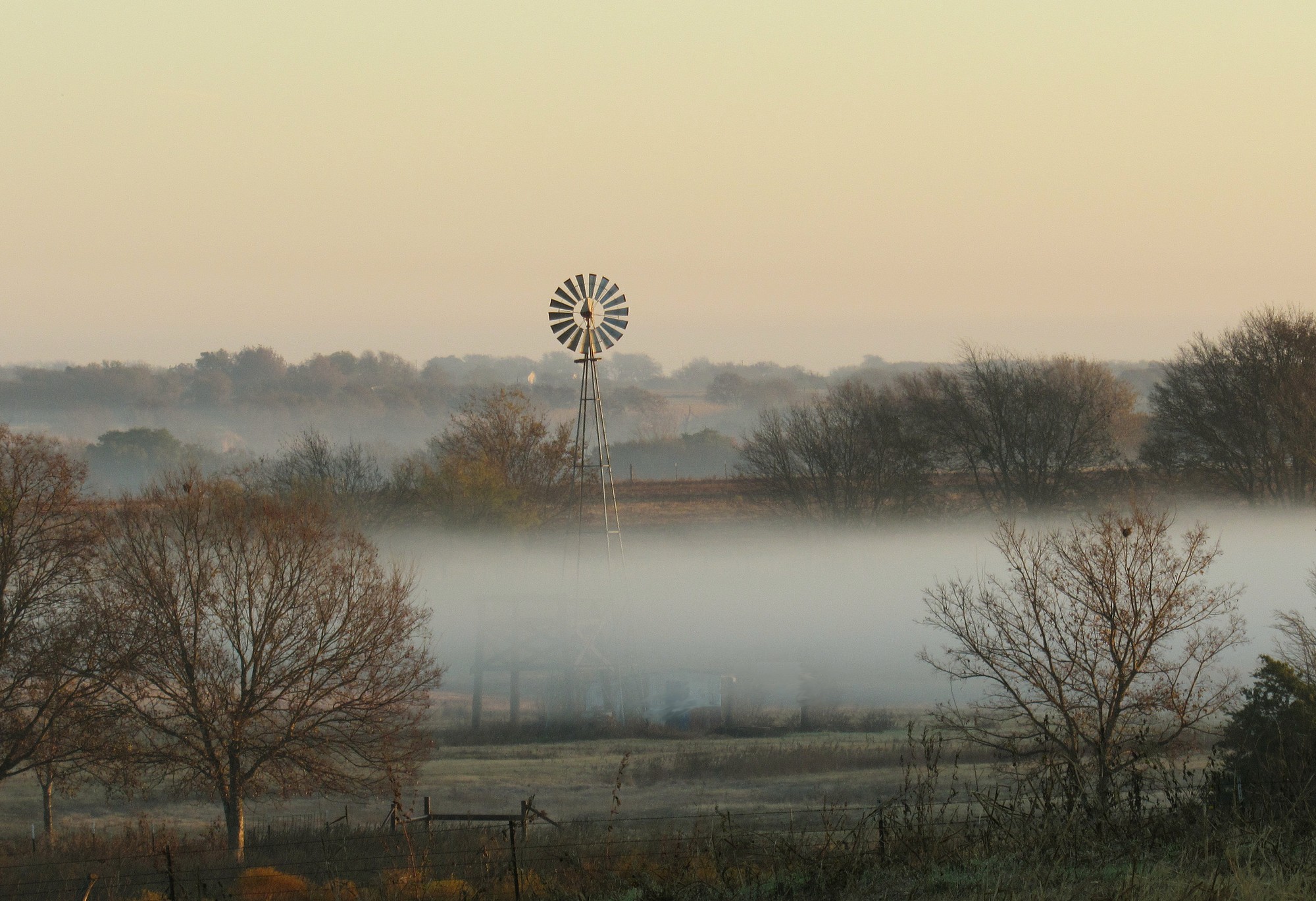 Misty Morning.jpg